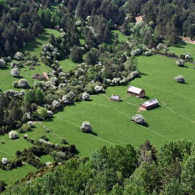 Casetas de Diazas en descendant sur Torla