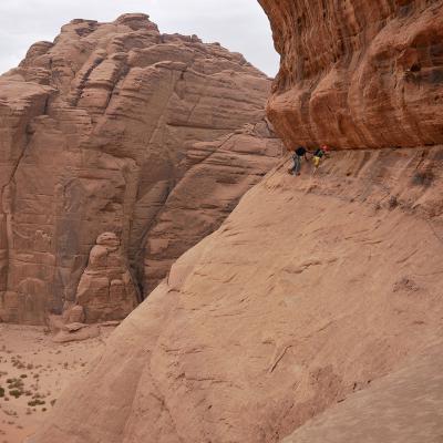 Rain in the Desert