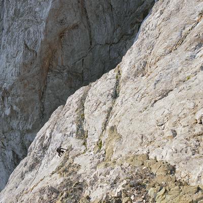 Derrière l'arête intermédiaire