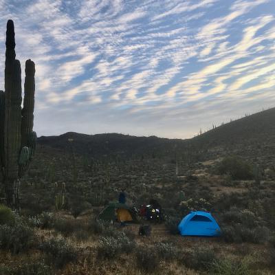 Septième jour, bivouac parmi les cactus avec Alexandra et Pierre que je viens de rencontrer