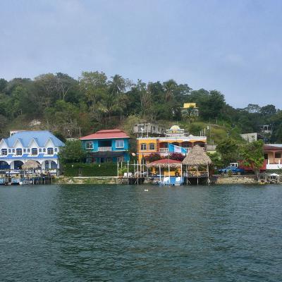 Flores au Guatemala