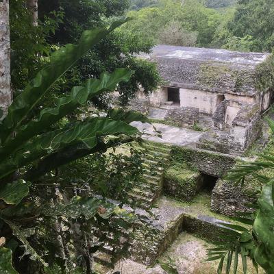 Nakum, site archélogique abandonné