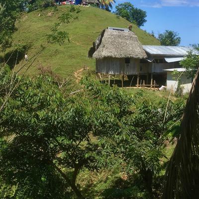 Campagnes entre Almirante et Rambála au Panama