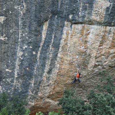 Margalef