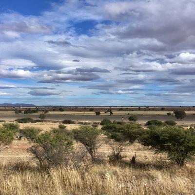 Plaines de Durango au Mexique