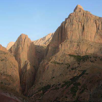 Taghia