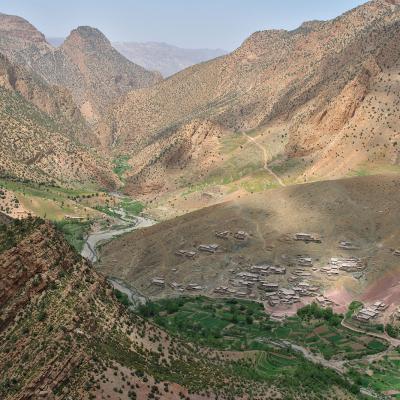Taghia