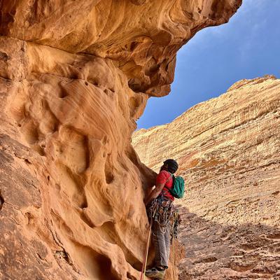 Ouverture de Hallali à Shelaali