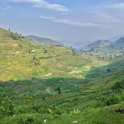 Ouganda