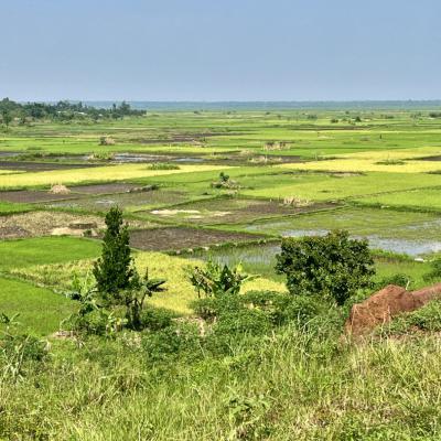 Ouganda