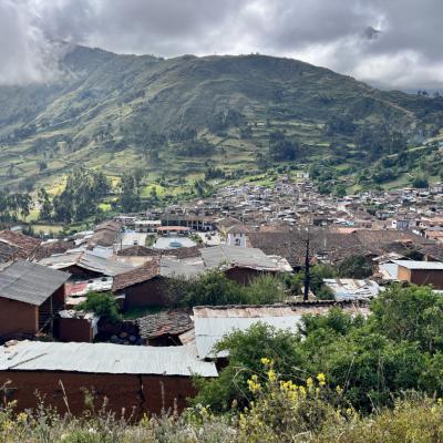 Tauca